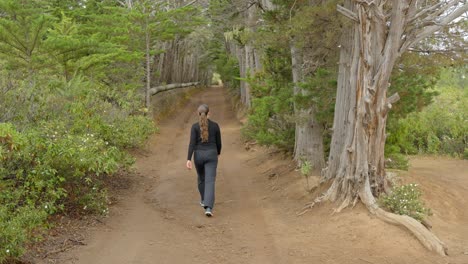Female-hiker-walking-on-a-gravel-road-in-the-middle-of-dry-forest-in-Spain