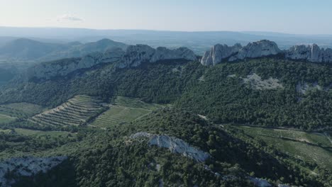 Toma-Aérea-De-Drones-Volando-Sobre-Viñedos-Vaucluse-Provenza-Dentelles-Montmirail-Francia