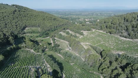 Luftdrohnenaufnahme,-Die-über-Die-Weinberge-Der-Vaucluse-Provence-In-Südfrankreich-Fliegt