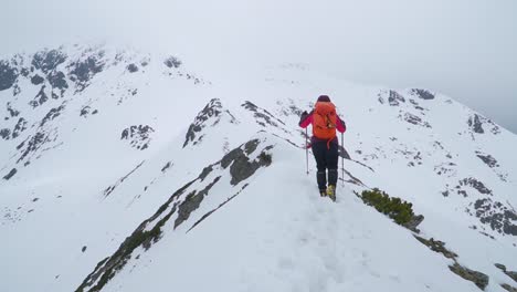 Climber-with-orange-backpack-walks-with-poles-on-snow-covered-mountain-ridge-near-peak