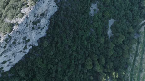Aerial-Drone-Top-Down-shot-Vaucluse-Provence-Dentelles-Montmirail-France