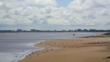 Tide-coming-in-on-river-estuary-with-seabirds-feeding-along-tide-line-and-jet-skis-moving-up-and-down-river-and-fluffy-cloud-fast-moving-sky