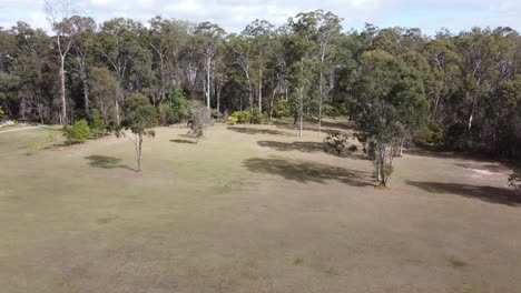 Drone-Descendiendo-Sobre-Un-Campo-Verde-árboles-En-El-Fondo