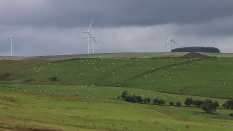Schafzucht-Und-Windkraftanlagen.-Powys.-Wales.-Vereinigtes-Königreich
