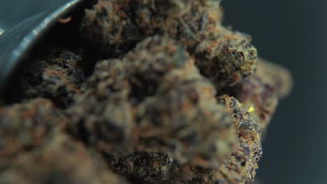 A-vertical-macro-cinematic-detailed-shot-of-a-cannabis-plant,-orange-hybrid-strains,-Indica-and-sativa-,black-marijuana-flower,-on-a-360-rotating-stand,-shiny-bowl,-4K-video,-studio-lighting