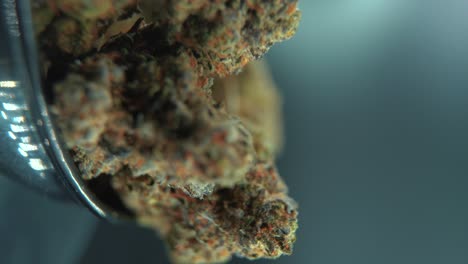 A-vertical-macro-cinematic-detailed-shot-of-a-cannabis-plant,-orange-hybrid-strains,-Indica-and-sativa-,green-crispy-marijuana-flower,-on-a-360-rotating-stand,-slow-motion,-4K-video,-studio-lighting