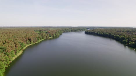 Lake-in-forest-during-summer,-opening-drone-shot,-tilt-up