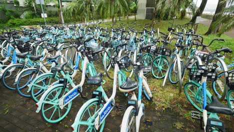 ÖPNV-Lok,-Die-Fahrräder-An-Bürger-Hongkongs-Weitergibt