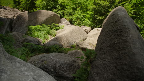 Felsenmeer-in-Odenwald-Sea-of-rocks-wood-nature-landscape-tourism-on-a-sunny-day-steady-close-up-shot