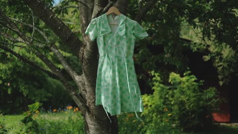 Summer-dress-hanging-on-tree-branch-and-swaying-in-wind