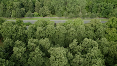 Side-view-of-highway-in-forest