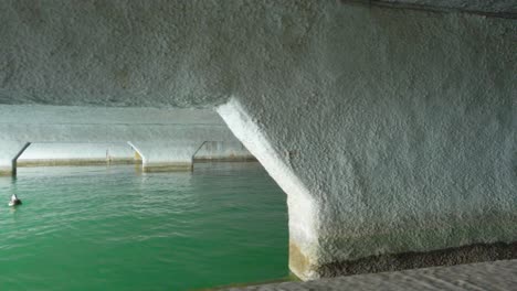Mallard-Ducks-Swimming-In-The-Water-Under-Concrete-Bridge-In-Zurich,-Switzerland