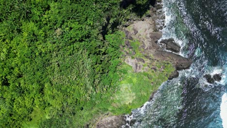 Exotic-ocean-coast-with-rainforest-and-rocky-beach,-Philippines,-aerial-top-down