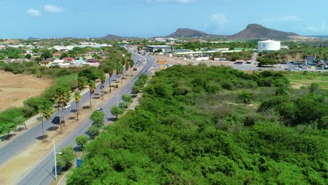 Tropical-highway-road-lined-with-coconut-palm-trees-on-Curacao-island,-drone