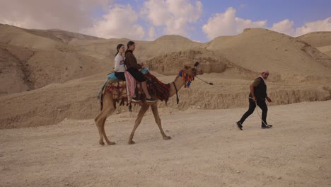 Camellos-Caminando-En-El-Desierto-Al-Atardecer,-Dunhuang