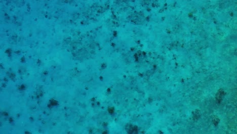 Klares-Meerwasser-Aus-Dem-Karibischen-Meer,-Sonniger-Tag-Mit-Lichtstrahlen-Und-Korallen,-Statische-Luftaufnahme-Von-Oben-Nach-Unten