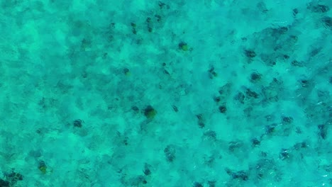 Wellen-Und-Lichtstrahlen-Brechen-Sich-Durch-Kristallklares,-Blaues-Karibisches-Wasser,-Platz-Für-Text
