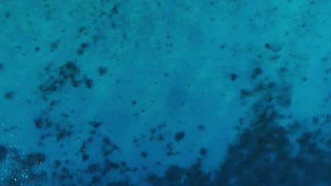 Klares-Türkisfarbenes-Karibisches-Meer,-Abfallend-Zu-Tiefem-Blau,-Sonniges-Tageslicht-Auf-Korallen,-Luftaufnahme-Unten