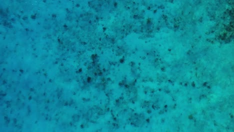 Crystal-clear-turquoise-Caribbean-sea-water,-sunny-day-light-rays-on-coral,-drone-top-down