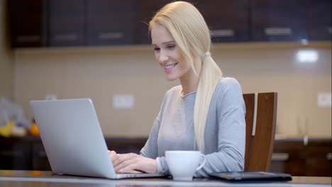 Lächelnde-Geschäftsfrau-Tippt-Auf-Ihrem-Laptop