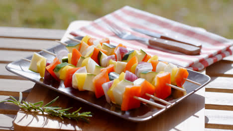 Vegetable-kabob-on-plate-close-up