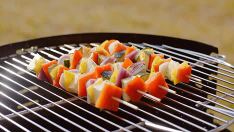 Healthy-colorful-kebabs-with-fresh-vegetables