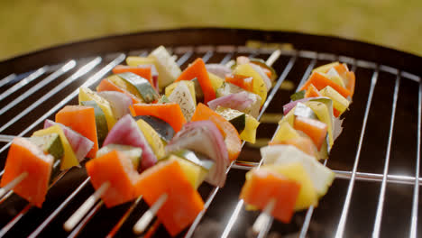 Healthy-colorful-kebabs-with-fresh-vegetables