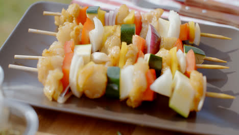 Vegetable-shish-kebap-on-plate-close-up