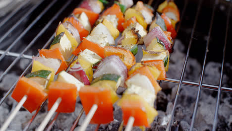 Delicious-vegetable-kabobs-on-grill