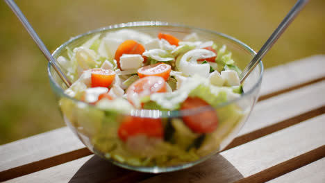 Tazón-De-Ensalada-Verde-Mixta-Fresca