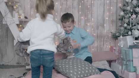active-joyful-blond-siblings-play-with-soft-toys-in-room