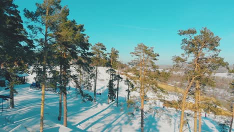 ski-resort-with-pines-and-skiing-people-under-sky-upper-view