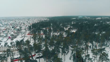 cottage-town-covered-with-snow-at-pines-and-river-upper-view