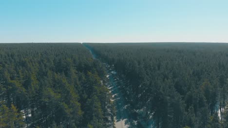 Grüne-Kiefernwälder-Umgeben-Die-Fahrbahn-Unter-Klarem-Blauen-Himmel