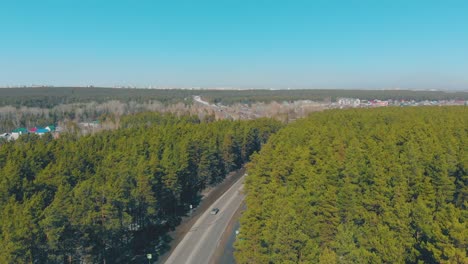 thick-pine-forest-surround-long-road-against-cottage-village