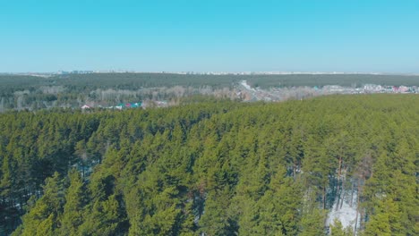 evergreen-pine-trees-with-snow-on-ground-surround-village
