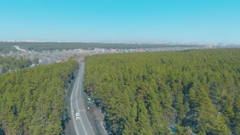 pictorial-green-dense-pine-forest-surround-stretching-road
