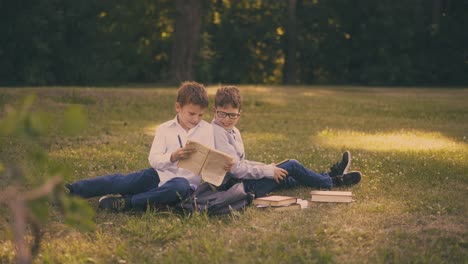 boy-shows-textbook-to-friend-preparing-for-exams-on-grass