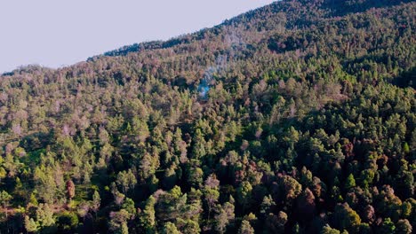 Luftaufnahme-Eines-Grünen-Tropenwaldes-Am-Berghang-Mit-Einem-Kleinen-Feuerpunkt,-Der-Rauch-Ausstößt