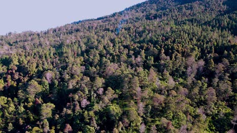 Endless-tropical-forest-with-smokes-rising-on-slope-of-mount-Sumbing,-aerial-view