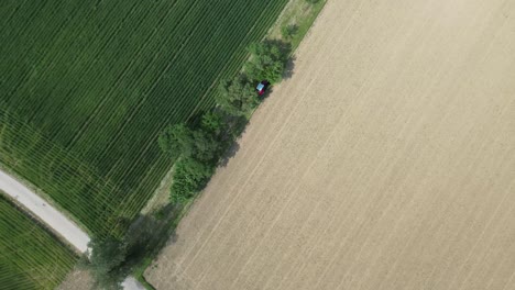 Aerial-Shot-of-Red-Tractor-Working-on-Rural-Farm-Land
