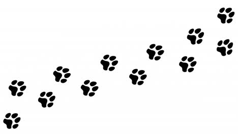 Animation:-Eine-Spur-Aus-Schwarzen-Fußabdrücken-Auf-Weißem-Hintergrund,-Ein-Hund,-Der-Alleine-Auf-Einem-Pfad-Geht,-Der-Von-Links-Nach-Rechts-Verläuft