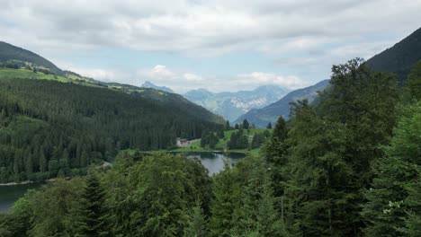 Wunderschöne-Berglandschaft-Mit-Bäumen-Und-Einem-Süßwasserbach