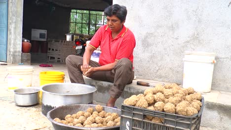 La-Mujer-Está-Preparando-Alimentos-Para-Animales-Hambrientos.