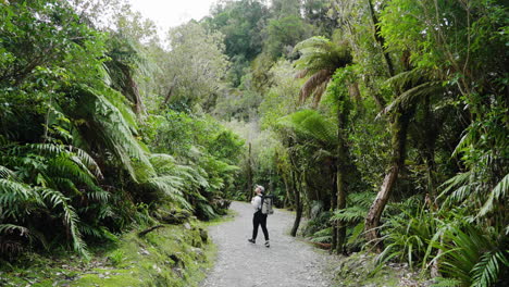 Slow-motion-shot-of-a-woman-hiking-through-a-dense-forest-in-Wellington,-NewZealand