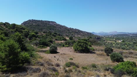 Überreste-Von-Waldbränden-Und-Grüner-Wald-In-Rhodos-Mit-Meer-Im-Hintergrund-In-Griechenland-Während-Des-Sommers,-Gefilmt-Mit-Der-Drohne-In-4K