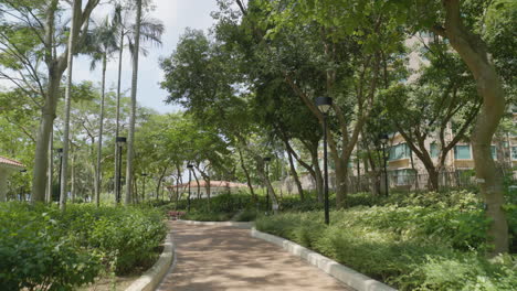 Reverse-dolly-through-shaded-park-path-in-hong-kong