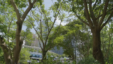Tilt-up-dolly-tropical-trees-blocking-views-of-apartment-building-homes-in-hong-kong