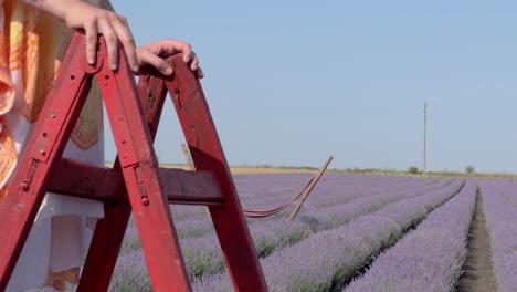 Panoramic-shot-of-smiling-young-woman-on-ladder-to-lavender-field
