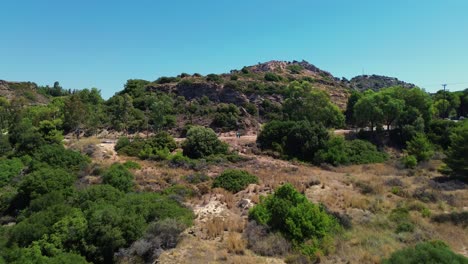 Bosque-Verde-En-El-Pueblo-De-Faliraki,-Rodas-En-Grecia-Durante-El-Verano-Filmado-Con-El-Dron-En-4k